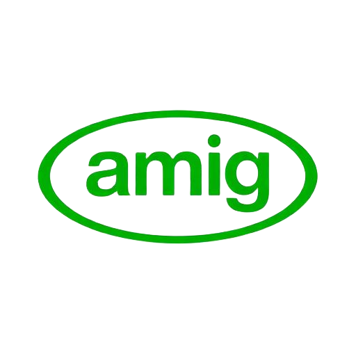 Amig